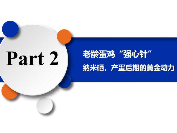 ���䵰����ǿ���롱����Ħ�������������ڵĻƽ���