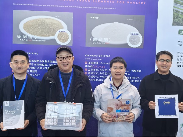 CHELOTAppϷٷվ⼦ҵ̳