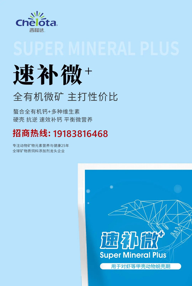 ppϷٷվл΢ԪضϺƲƷٲ΢+