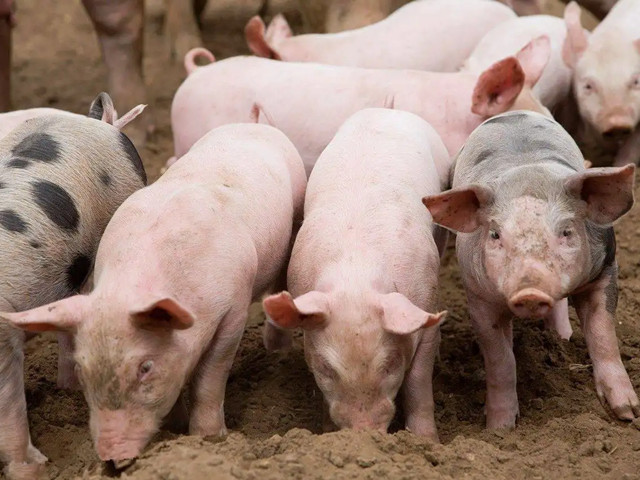 ＾ҪעʲôƺҪһҪĵ