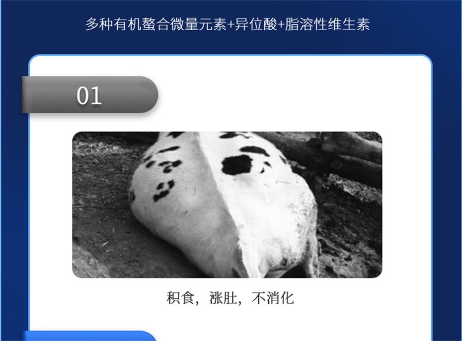 ppϷٷվţӼţ׳챦Ʒ