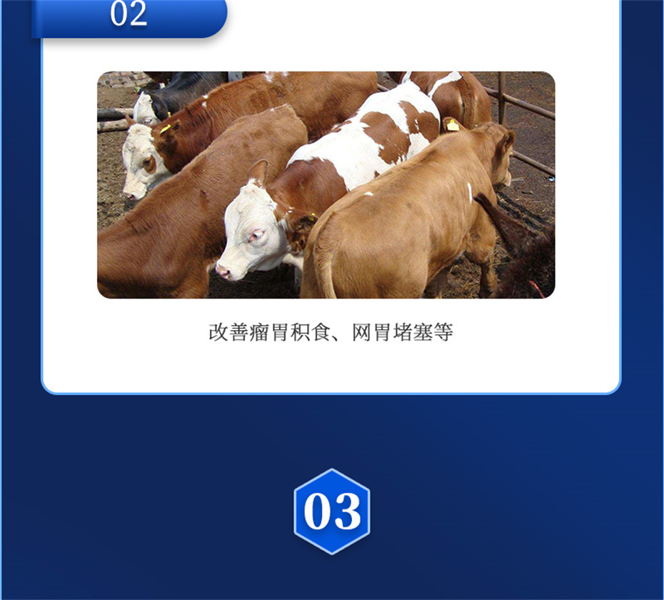 ppϷٷվţӼţ׳챦Ʒ