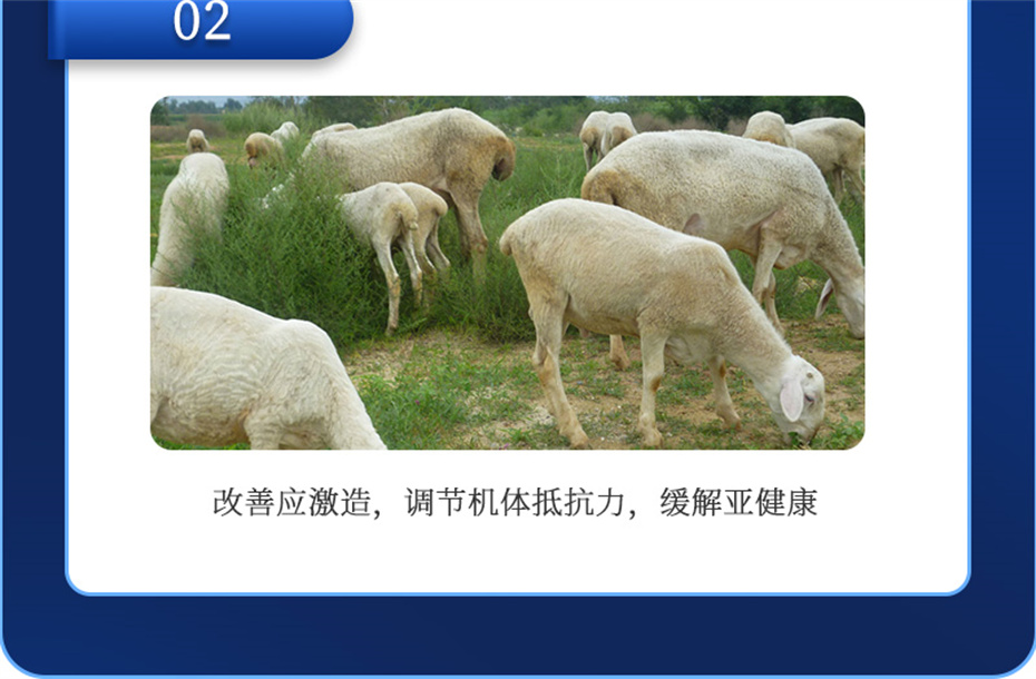 ppϷٷվţӼţ׳챦Ʒ