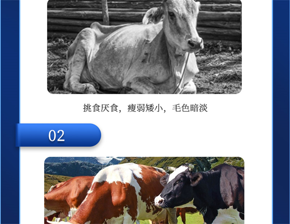 ppϷٷվţӼţ׳챦Ʒ