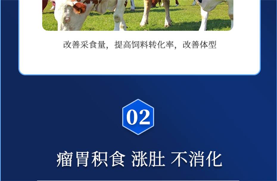 ppϷٷվţӼţ׳챦Ʒ