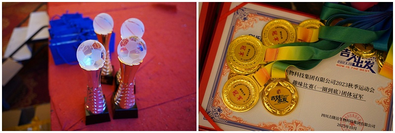 ppϷٷվ2023＾˶26곧Ƭ