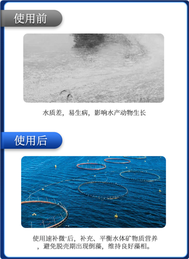 ppϷٷվл΢Ԫٲ΢+ϺЧ