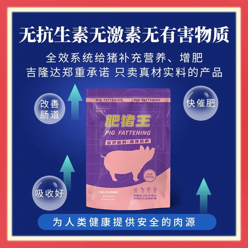 ·ÊÖíÍõ ·ÊÖíÍõ