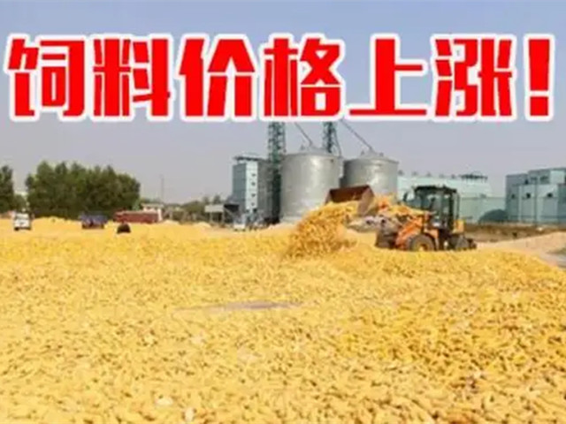 ںϼ۸ٴϳҲп࣡ﶬҪԵø