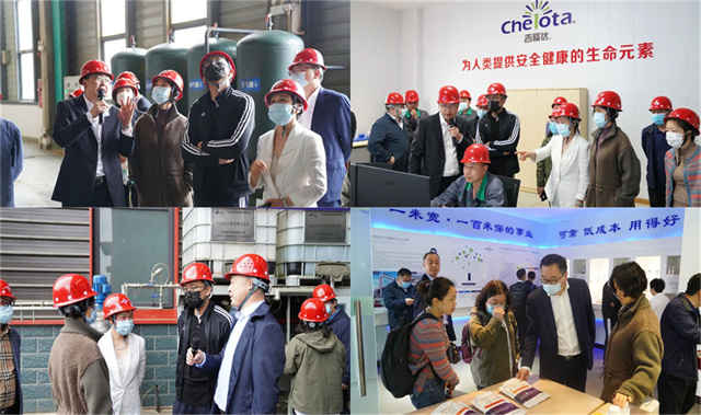 ͨɷݴιppϷٷվл΢Ԫع