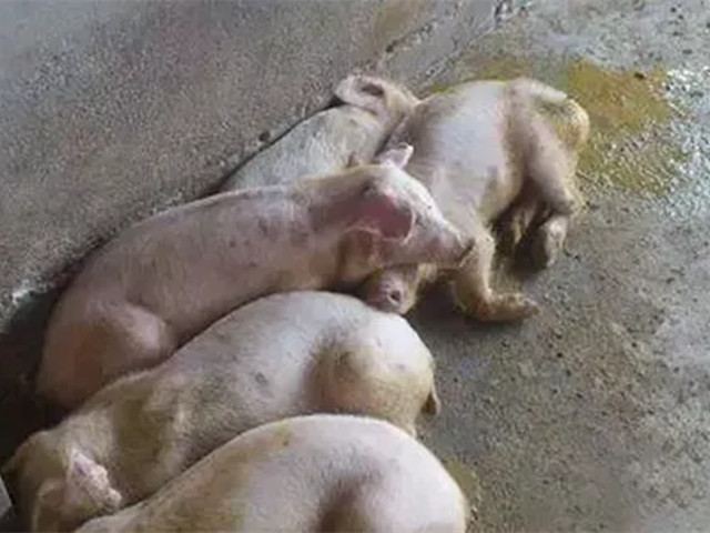 2022궬к֢״ղأ