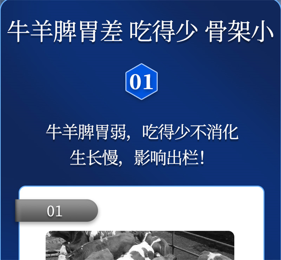 ppϷٷվţӼţԪ˧Ʒ