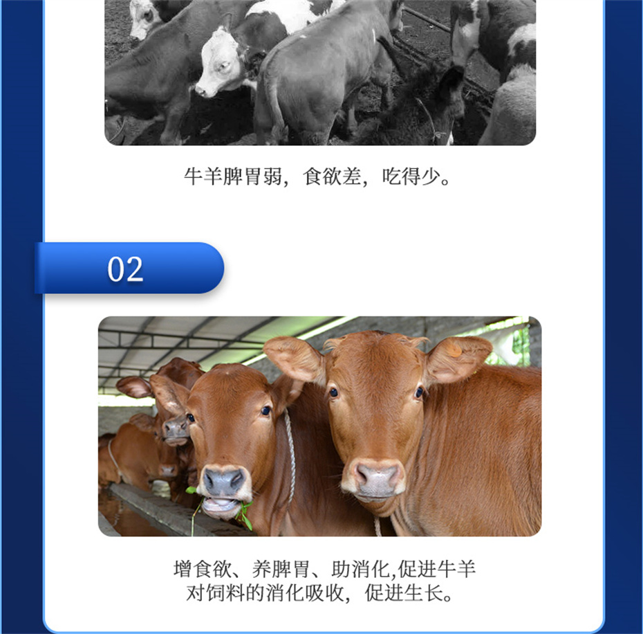 ppϷٷվţӼţԪ˧Ʒ