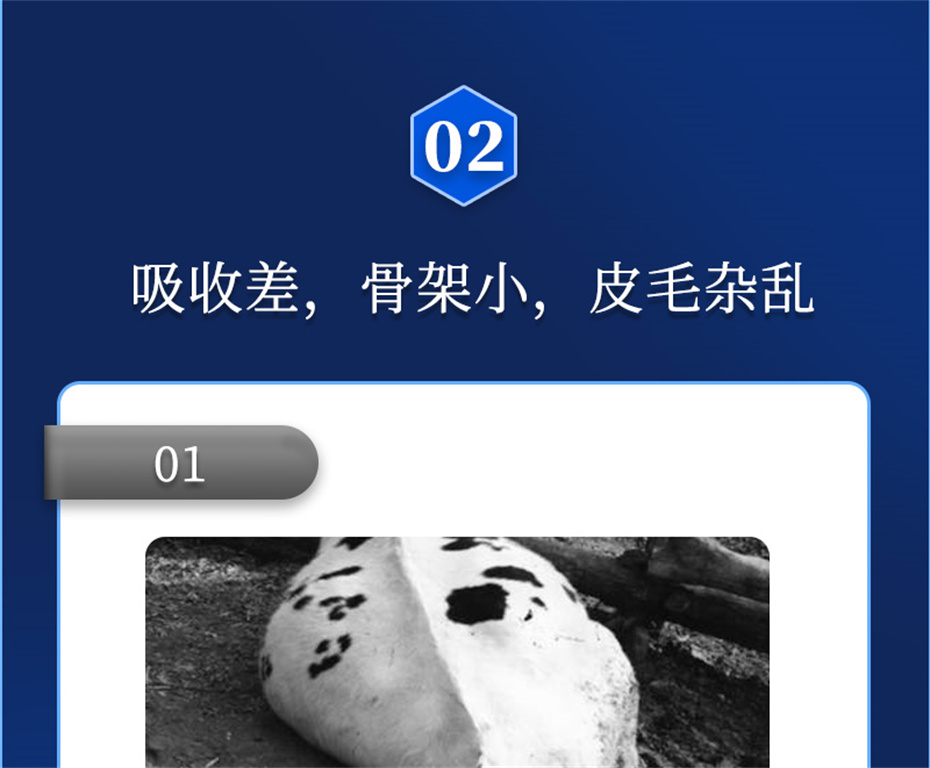 ppϷٷվţӼţԪ˧Ʒ