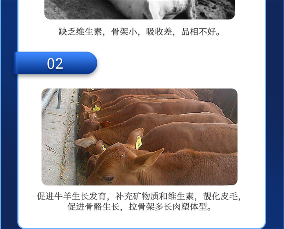 ppϷٷվţӼţԪ˧Ʒ