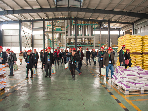 ΢ԪӼϰ˵ǸòƷ