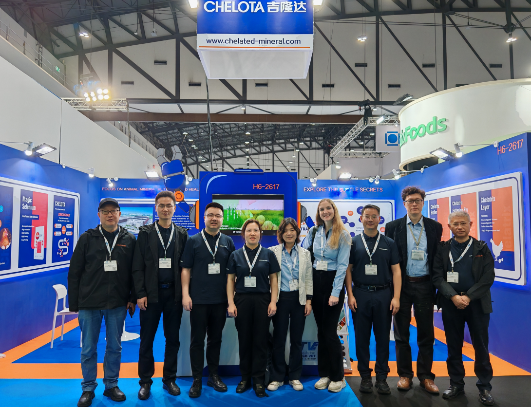 ̩ˣCHELOTAppϷٷվVIVޣ̩ʼԼչ