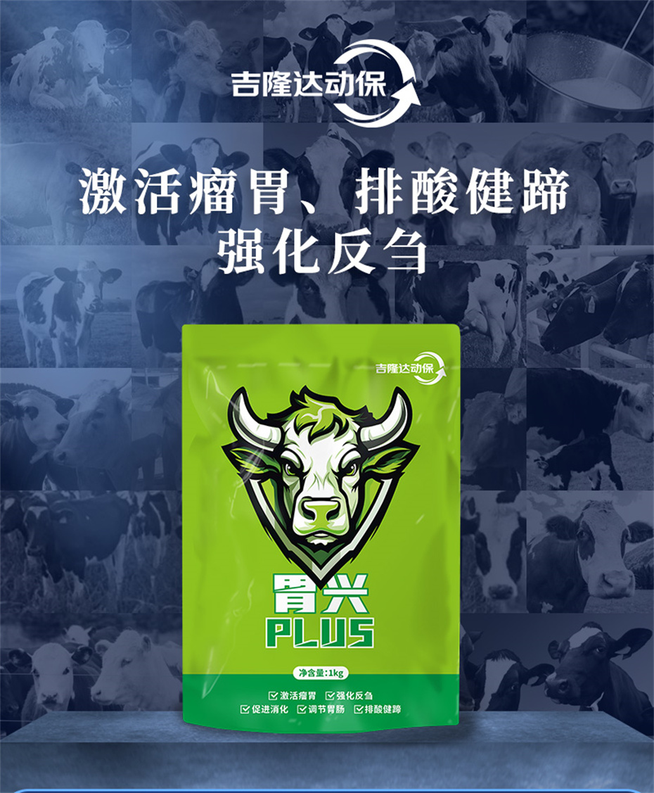 ppϷٷվţӼθplusƷ