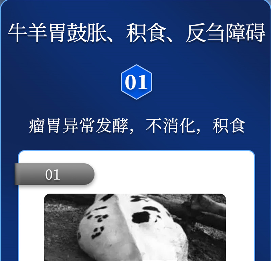 ppϷٷվţӼθplusƷ