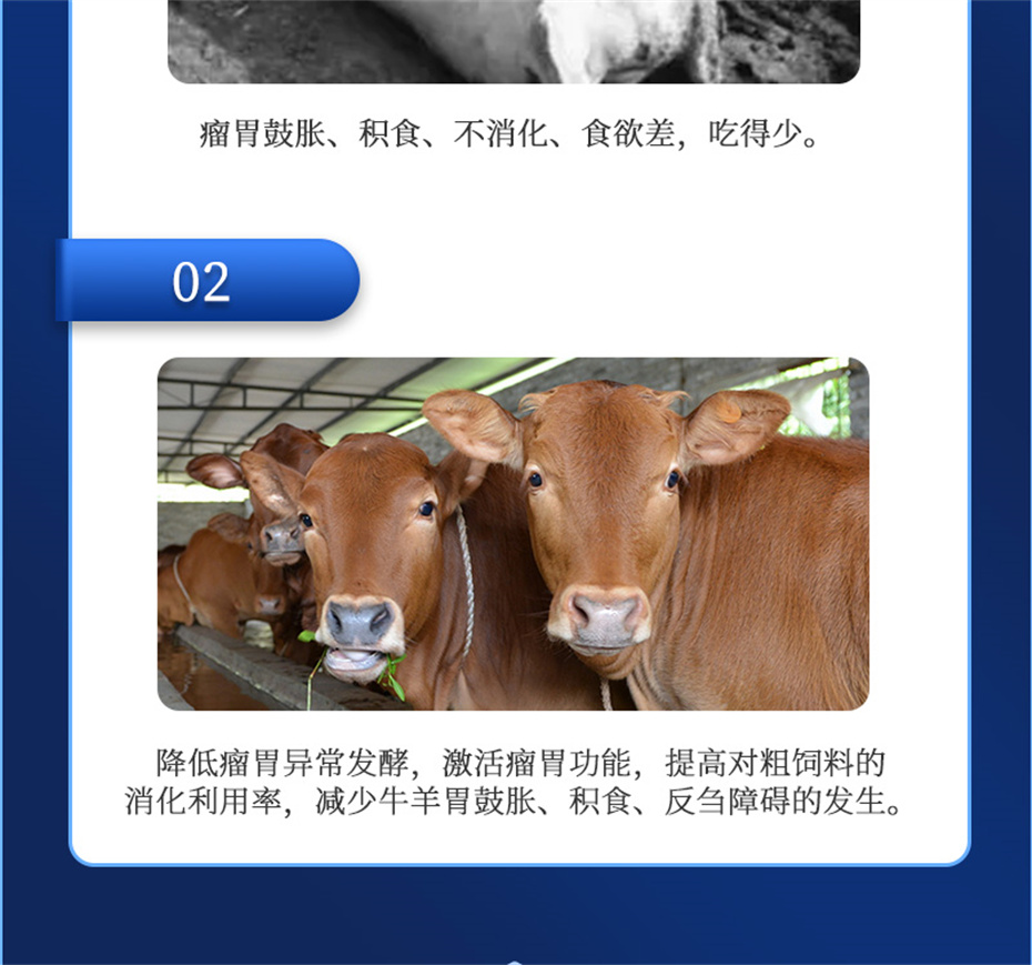 ppϷٷվţӼθplusƷ