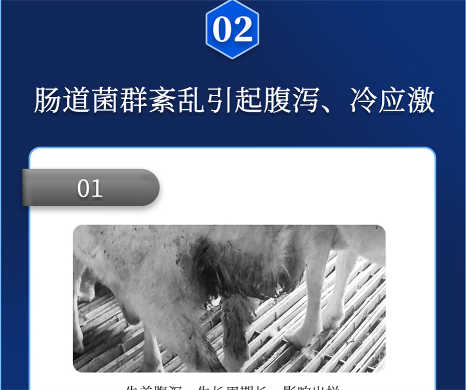 ppϷٷվţӼθplusƷ