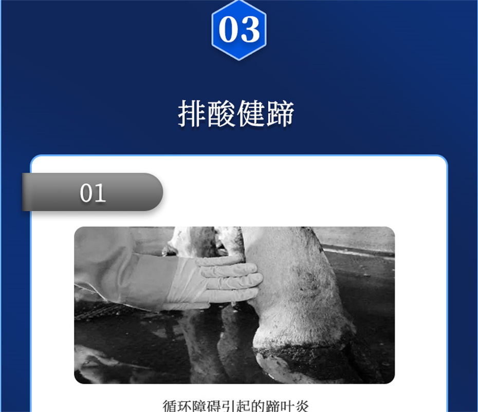 ppϷٷվţӼθplusƷ