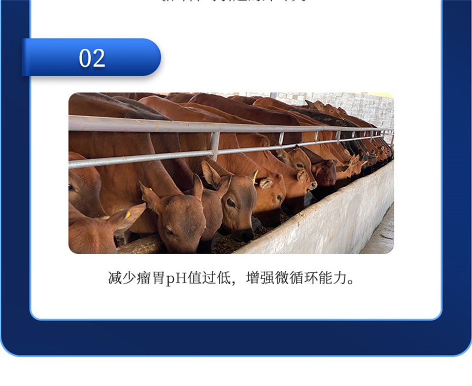 ppϷٷվţӼθplusƷ