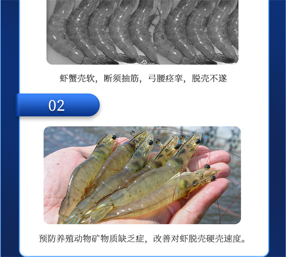 ppϷٷվˮӼٲ΢s+Ʒ